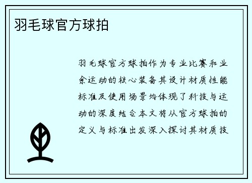 羽毛球官方球拍